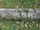 image of grave number 136850